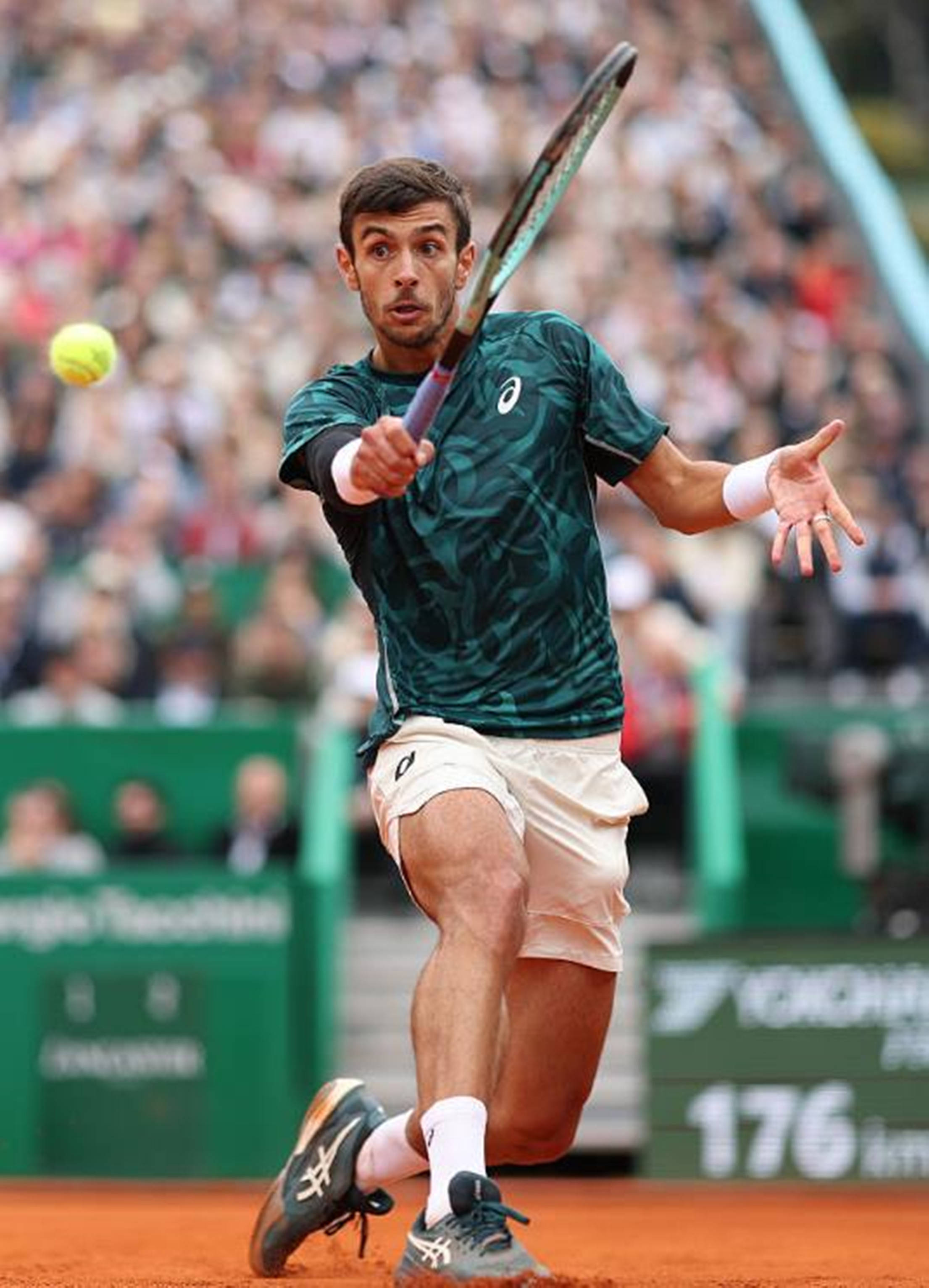 合无疑是这 合无疑是这